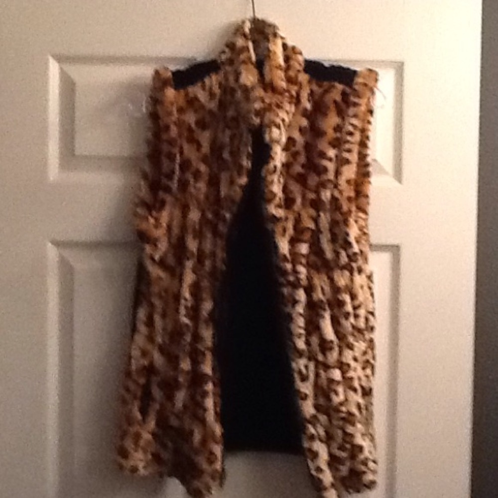 Fun....Reverseable Vest.... - image 1